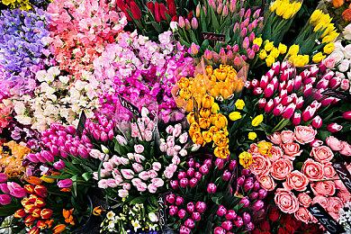 《星刃》全新宣传片 女开发者玩这款游戏非常嗨